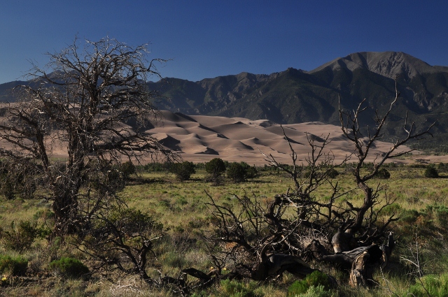 the Great Sand Dunes Natl Park and the Sangre de Cristo Mtn Range